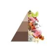 Horomia wasparfum spring summer Mocha mousse